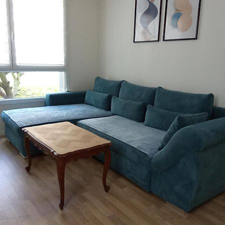 Bel Appartement Cosy Strasbourg Exterior foto