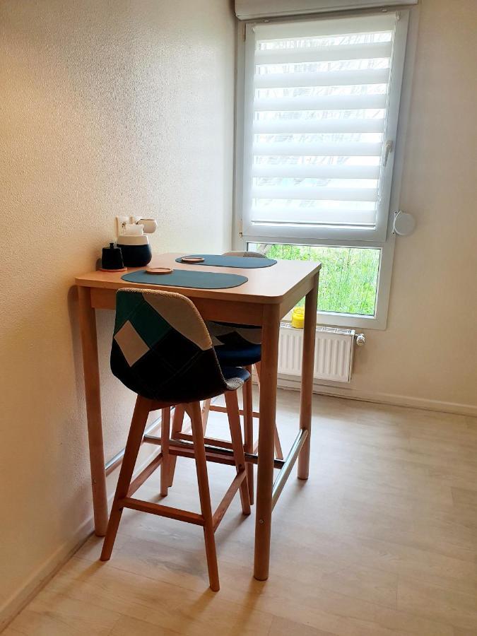 Bel Appartement Cosy Strasbourg Exterior foto