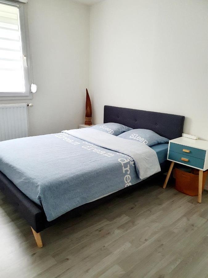 Bel Appartement Cosy Strasbourg Exterior foto
